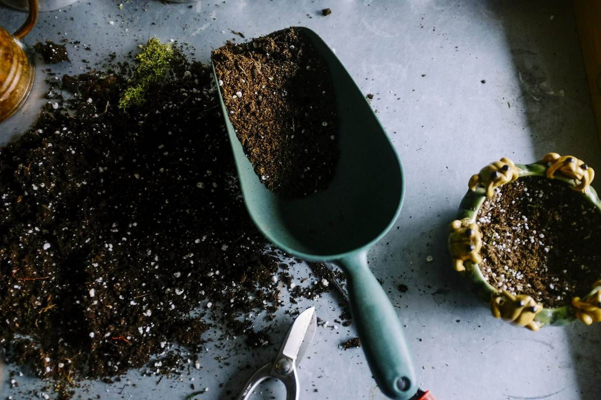 Hovenier aan het werk in een groene tuin